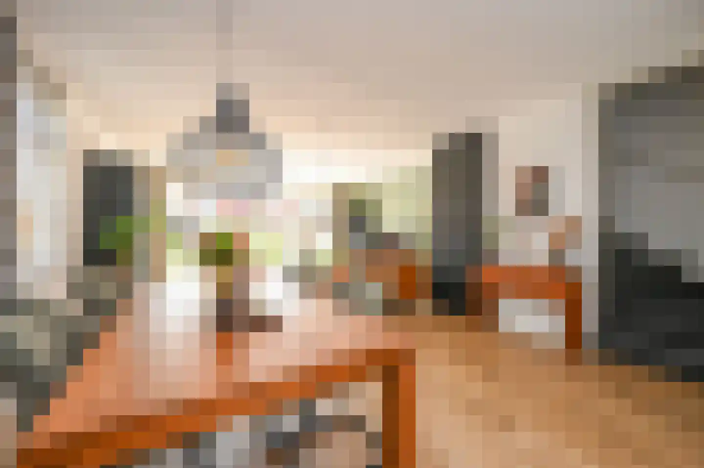Gravin Johannalaan 24 Den Haag thumbnail 15