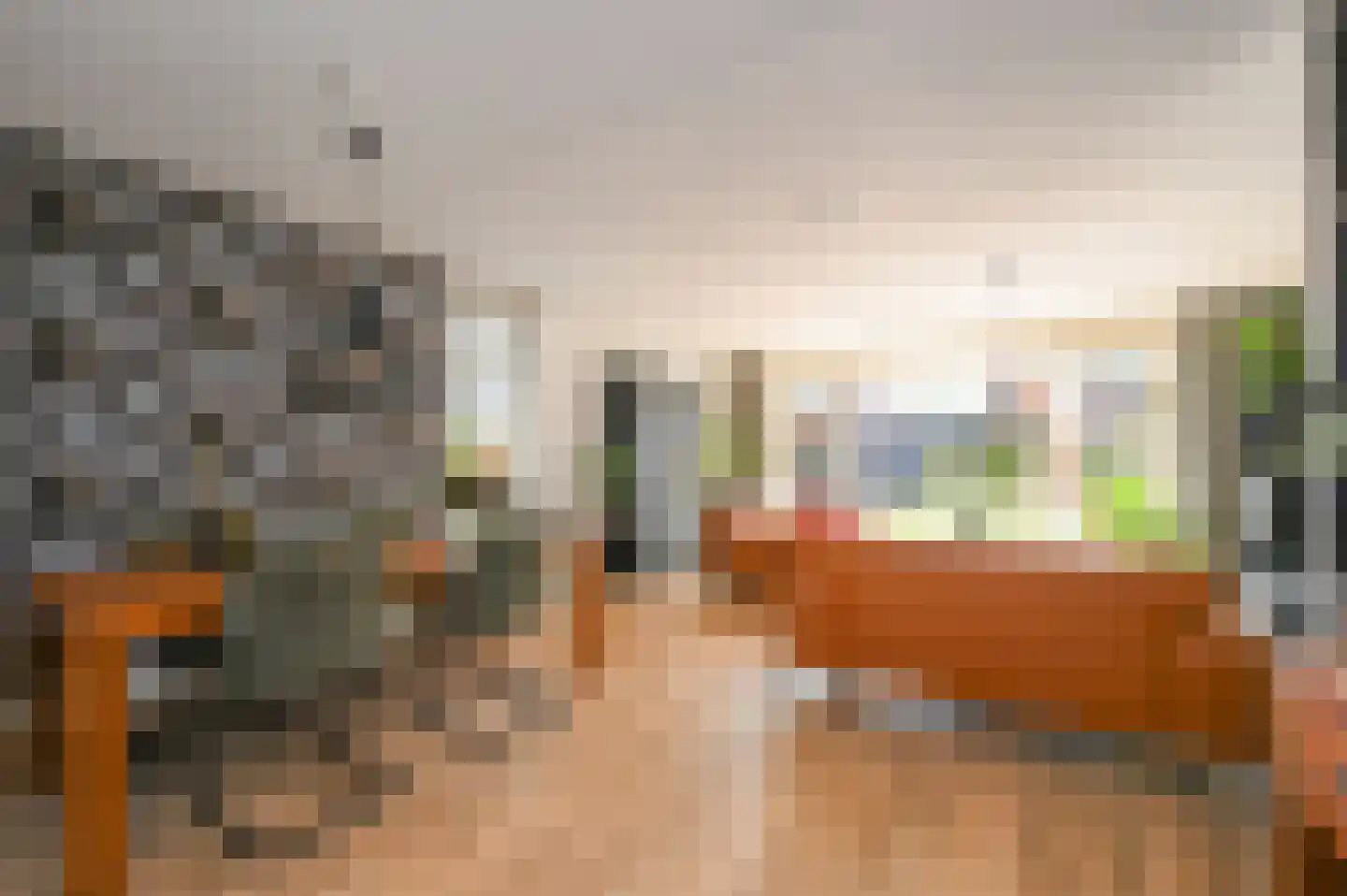 Gravin Johannalaan 24 Den Haag thumbnail 16