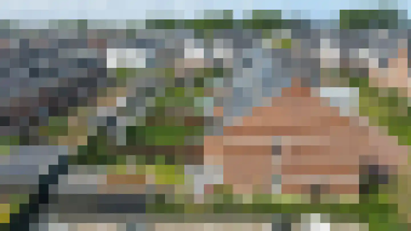 Gravin Johannalaan 24 Den Haag thumbnail 26