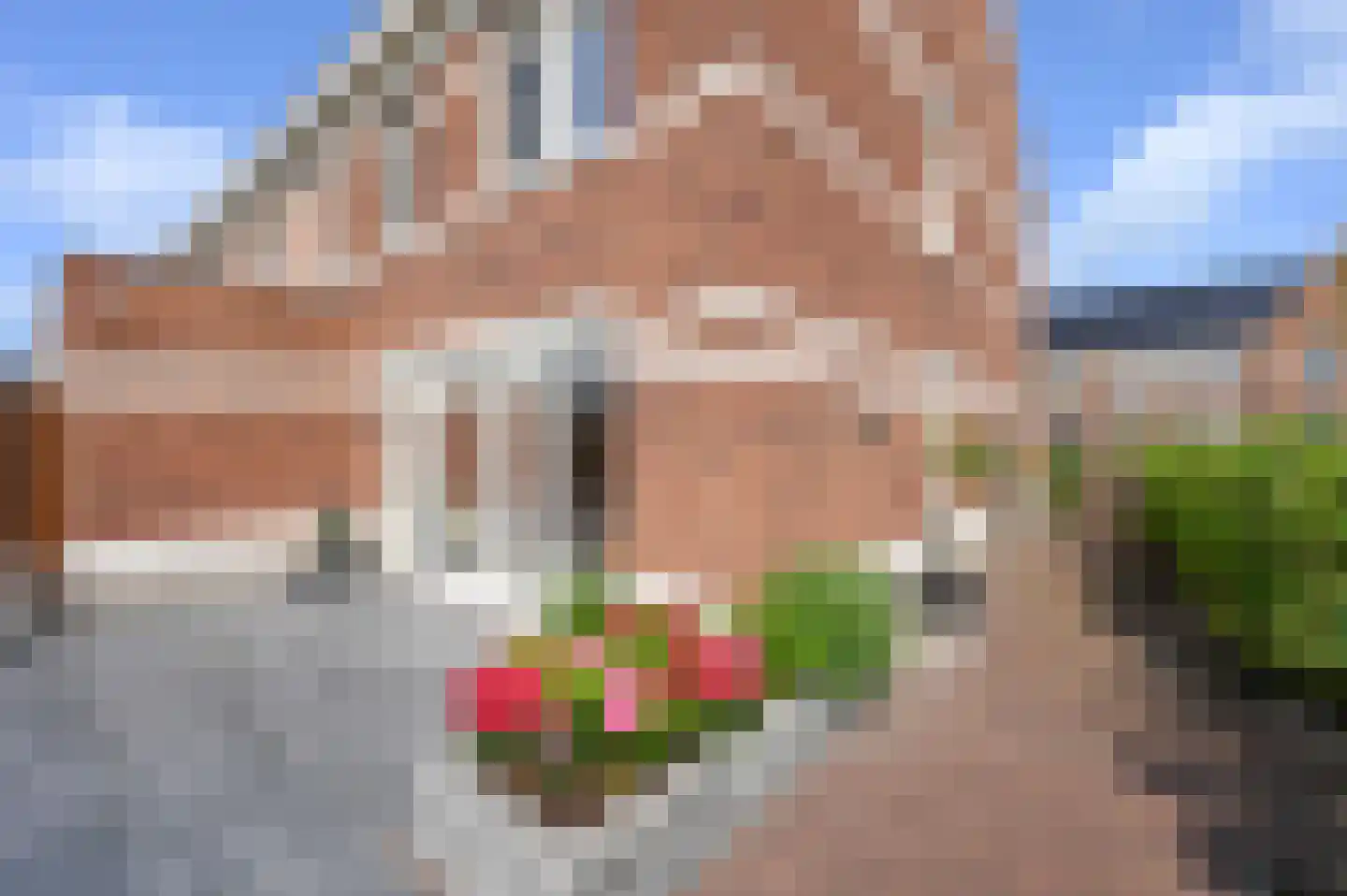 Gravin Johannalaan 24 Den Haag thumbnail 27