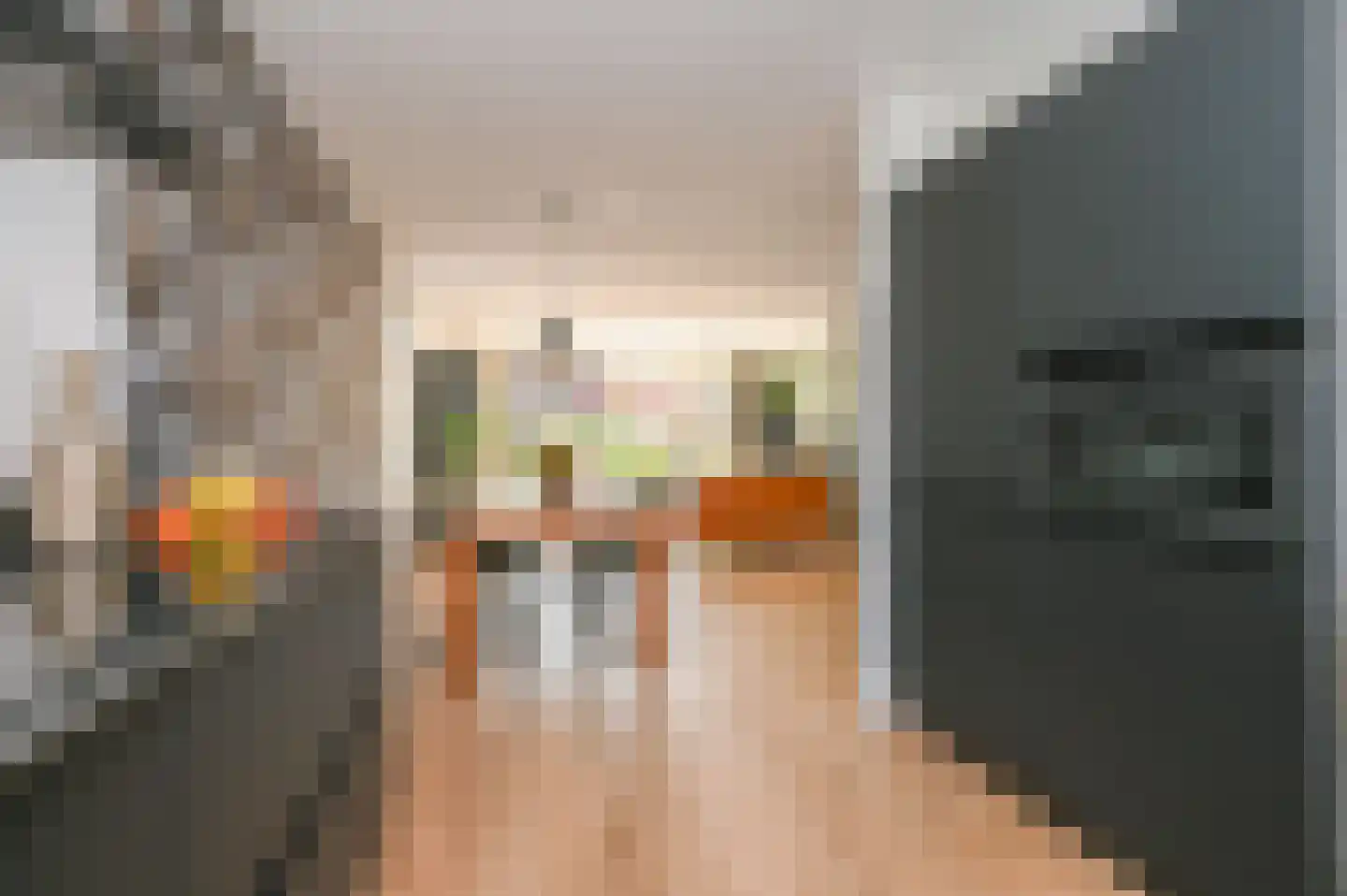 Gravin Johannalaan 24 Den Haag thumbnail 31