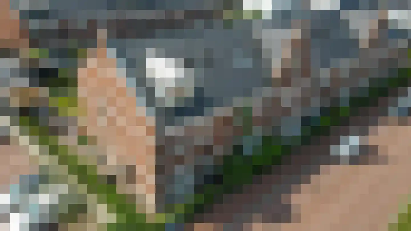 Gravin Johannalaan 24 Den Haag thumbnail 6