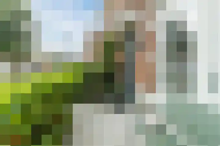 Gravin Johannalaan 27 Den Haag thumbnail 9