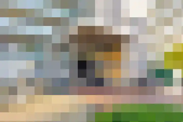 Gravin Juliana van Stolberglaan 113 Leidschendam thumbnail 4