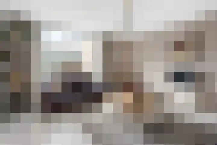 Gravin Juliana van Stolberglaan 166 Leidschendam thumbnail 4