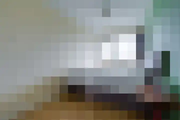 Gravin Juliana van Stolberglaan 192 Leidschendam thumbnail 17