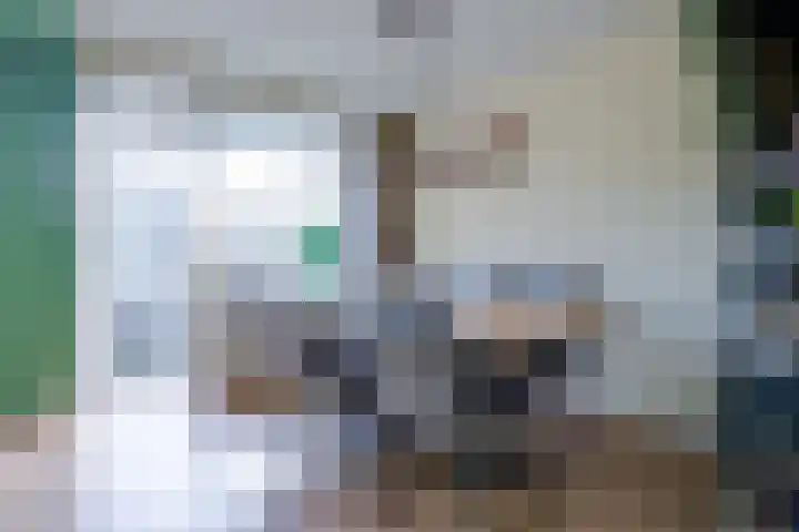Gravin Juliana van Stolberglaan 192 Leidschendam thumbnail 7