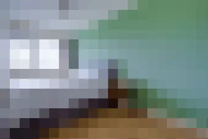 Gravin Juliana van Stolberglaan 192 Leidschendam thumbnail 8