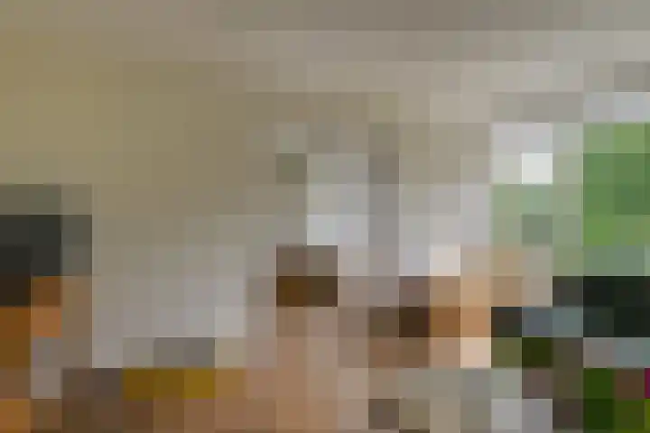 Gravin Juliana van Stolberglaan 204 Leidschendam thumbnail 11