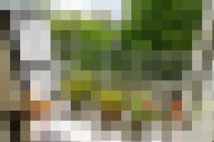 Gravin Juliana van Stolberglaan 204 Leidschendam thumbnail 12