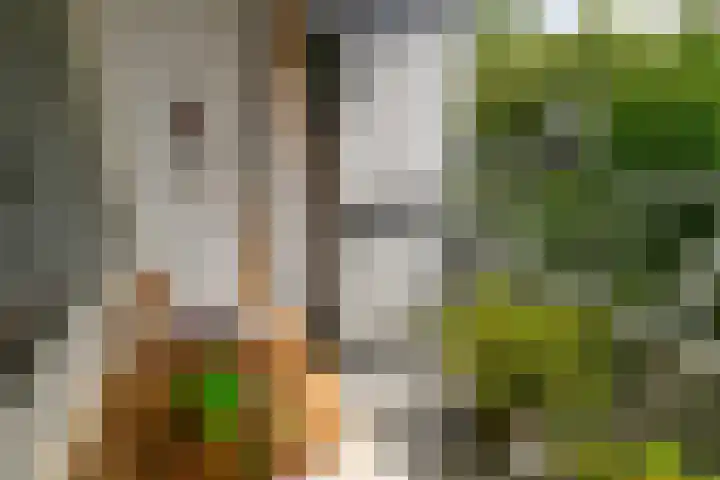 Gravin Juliana van Stolberglaan 204 Leidschendam thumbnail 13