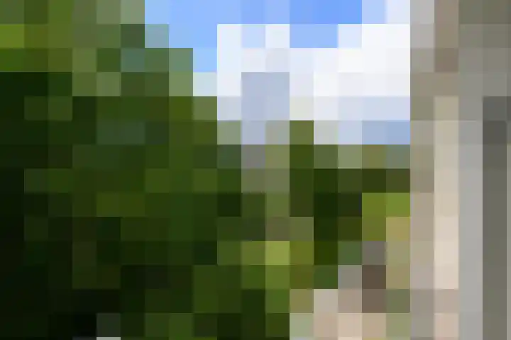 Gravin Juliana van Stolberglaan 204 Leidschendam thumbnail 14