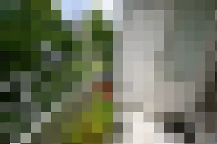 Gravin Juliana van Stolberglaan 204 Leidschendam thumbnail 15