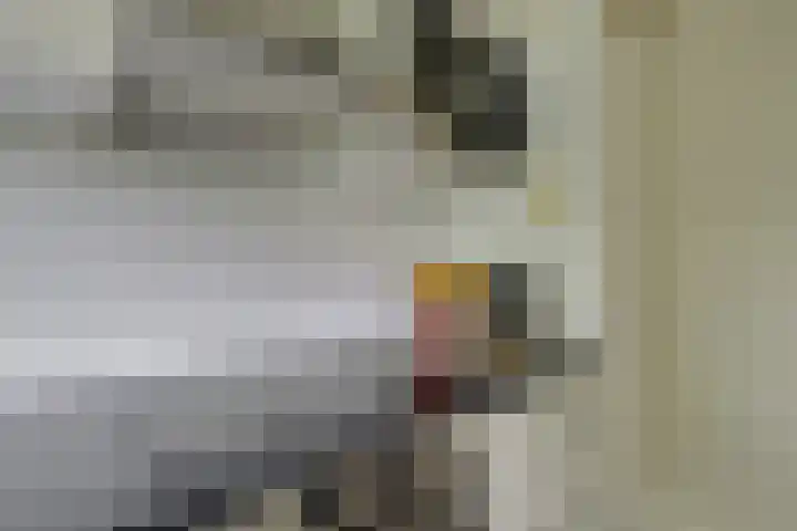 Gravin Juliana van Stolberglaan 204 Leidschendam thumbnail 18