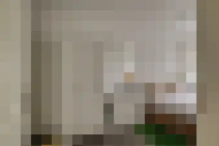 Gravin Juliana van Stolberglaan 204 Leidschendam thumbnail 19