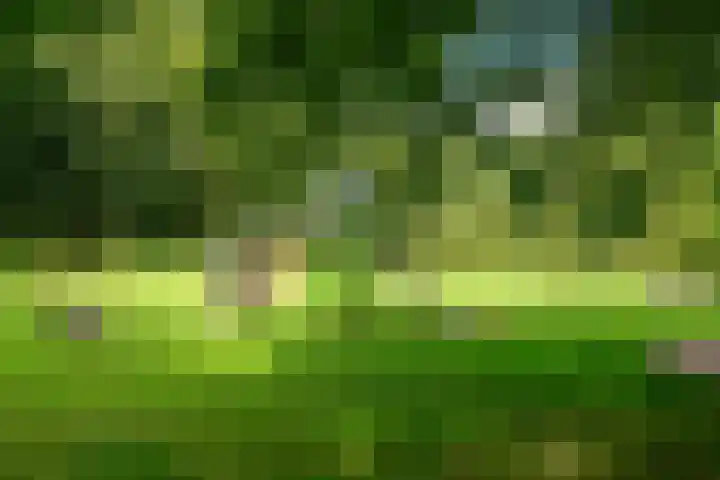 Gravin Juliana van Stolberglaan 204 Leidschendam thumbnail 24