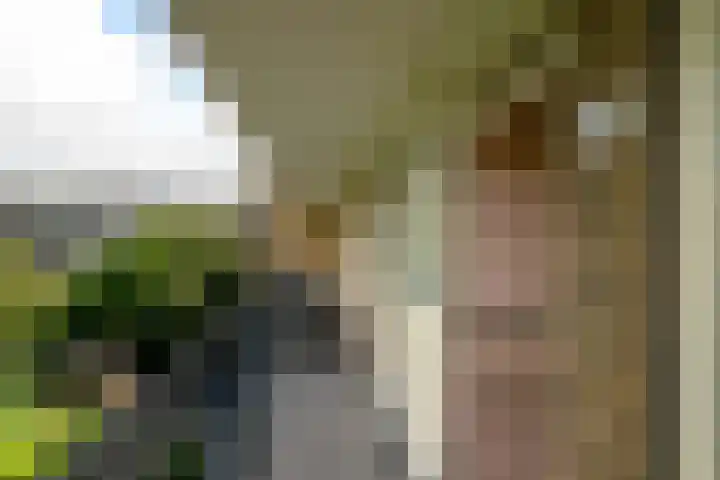 Gravin Juliana van Stolberglaan 204 Leidschendam thumbnail 7