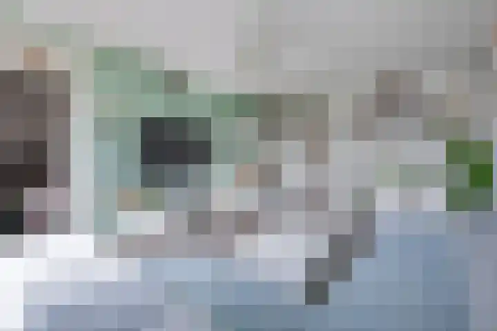 Gravin Juliana van Stolberglaan 243 Leidschendam thumbnail 14