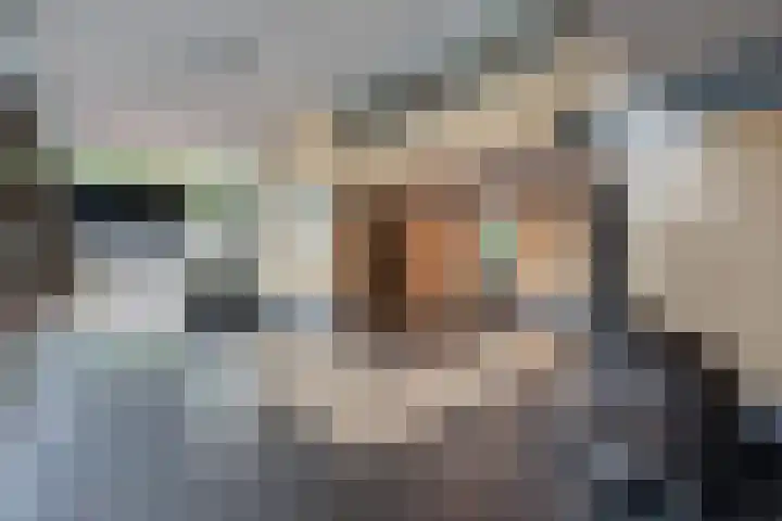 Gravin Juliana van Stolberglaan 243 Leidschendam thumbnail 5