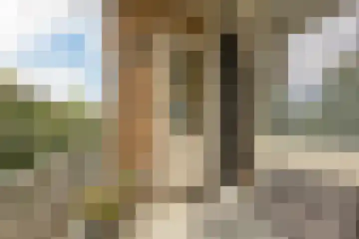 Gravin Juliana van Stolberglaan 290 Leidschendam thumbnail 17