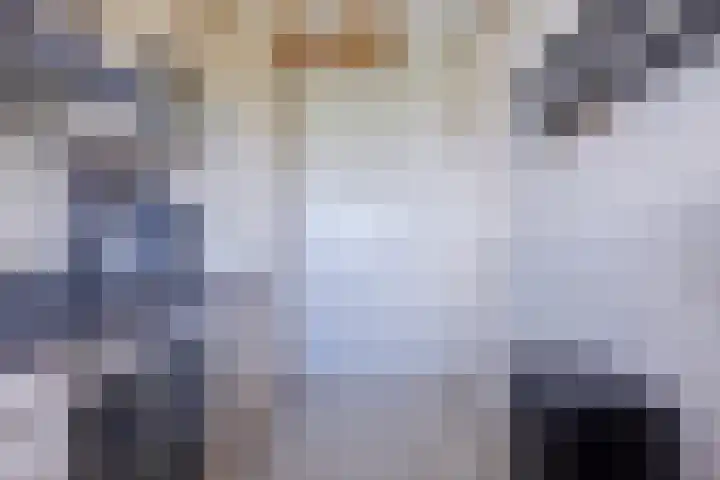 Gravin Juliana van Stolberglaan 290 Leidschendam thumbnail 21
