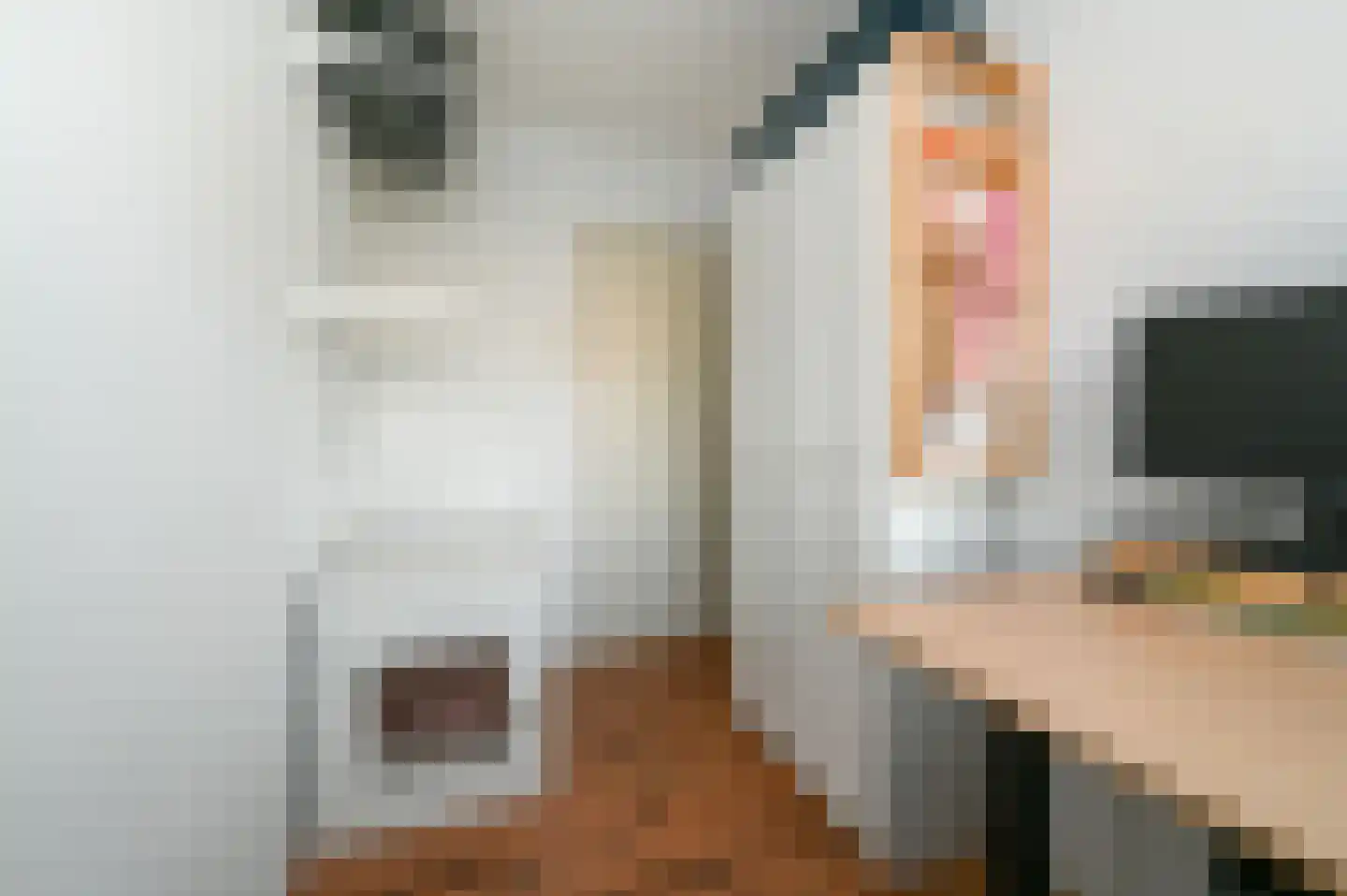 Gravin Juliana van Stolberglaan 321 Leidschendam thumbnail 25