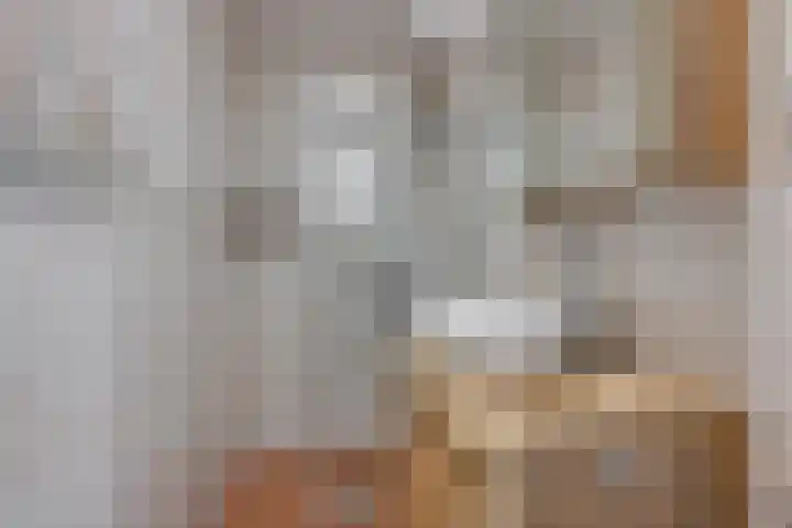 Gravin Juliana van Stolberglaan 331 Leidschendam thumbnail 4
