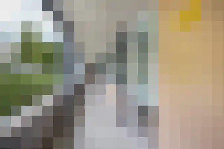 Gravin Juliana van Stolberglaan 333 Leidschendam thumbnail 14