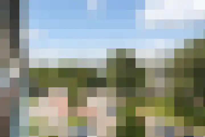 Gravin Juliana van Stolberglaan 333 Leidschendam thumbnail 18