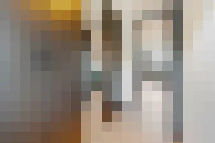 Gravin Juliana van Stolberglaan 333 Leidschendam thumbnail 39