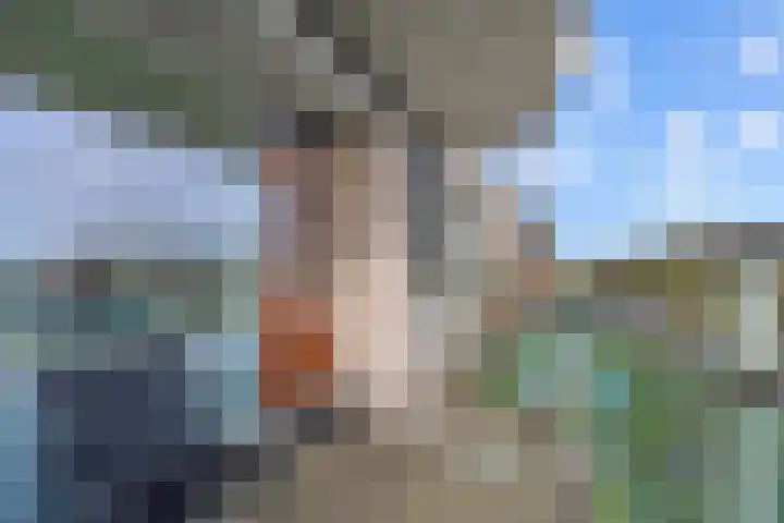 Gravin Juliana van Stolberglaan 427 Leidschendam thumbnail 12
