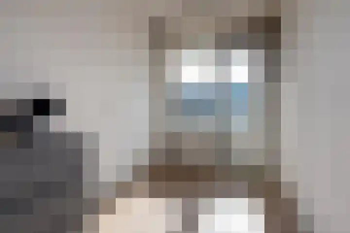 Gravin Juliana van Stolberglaan 492 Leidschendam thumbnail 20