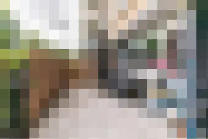 Gravin Juliana van Stolberglaan 537 Leidschendam thumbnail 29