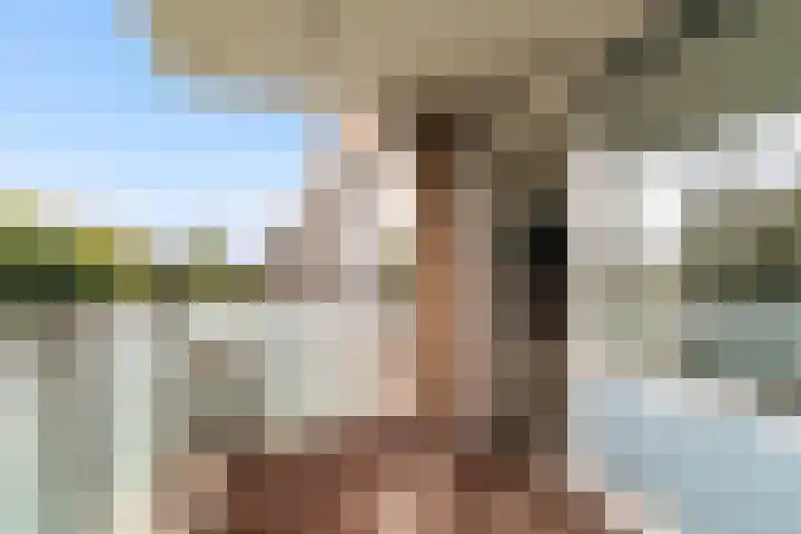 Gravin Juliana van Stolberglaan 617 Leidschendam thumbnail 13