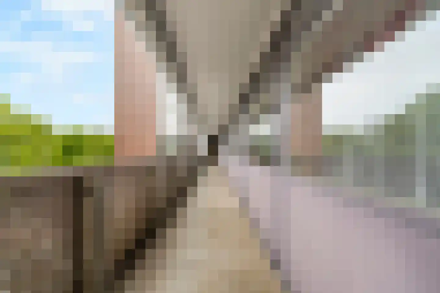 Gravin Juliana van Stolberglaan 683 Leidschendam thumbnail 8