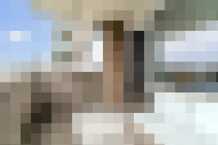 Gravin Juliana van Stolberglaan 701 Leidschendam thumbnail 18
