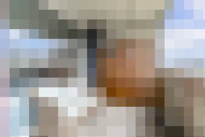 Gravin Juliana van Stolberglaan 701 Leidschendam thumbnail 19