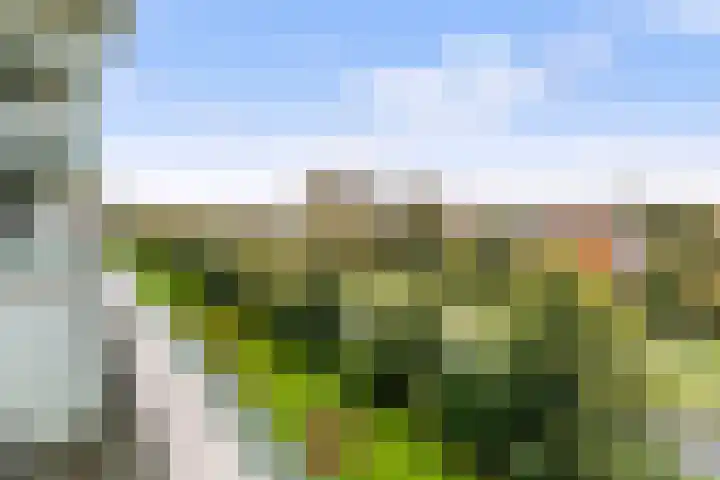 Gravin Juliana van Stolberglaan 783 Leidschendam thumbnail 21