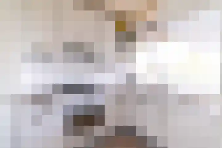 Gravin Juliana van Stolberglaan 799 Leidschendam thumbnail 11