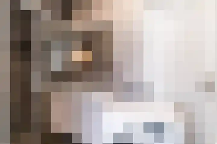 Gravin Juliana van Stolberglaan 799 Leidschendam thumbnail 22