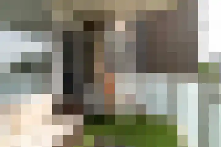 Gravin Juliana van Stolberglaan 799 Leidschendam thumbnail 26