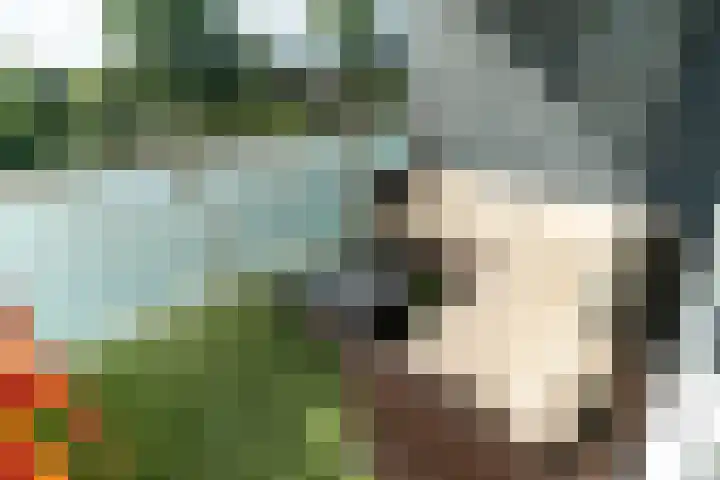 Gravin Juliana van Stolberglaan 799 Leidschendam thumbnail 5