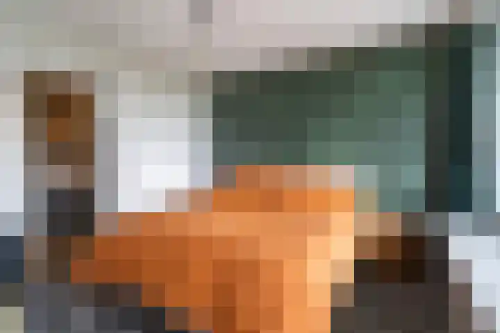 Gravin Juliana van Stolberglaan 865 Leidschendam thumbnail 16