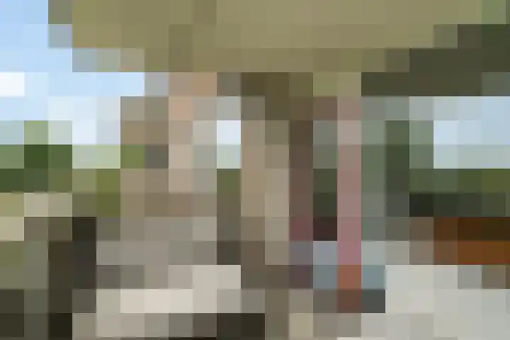 Gravin Juliana van Stolberglaan 865 Leidschendam thumbnail 19