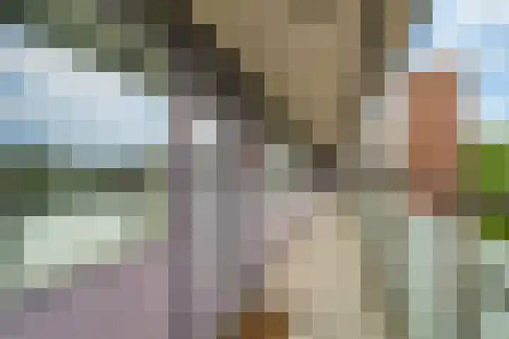 Gravin Juliana van Stolberglaan 865 Leidschendam thumbnail 8