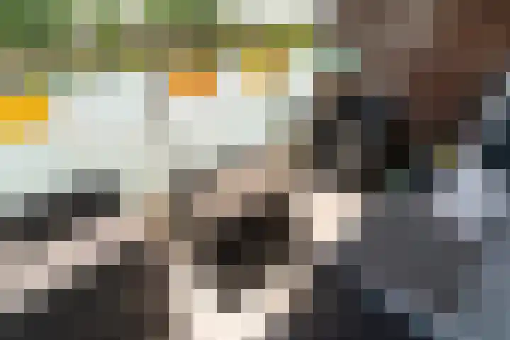 Gravin Juliana van Stolberglaan 879 Leidschendam thumbnail 24