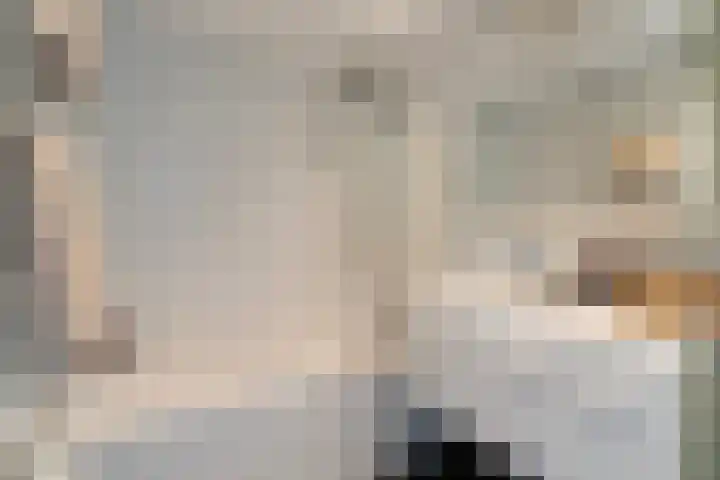 Gravin Juliana van Stolberglaan 879 Leidschendam thumbnail 4