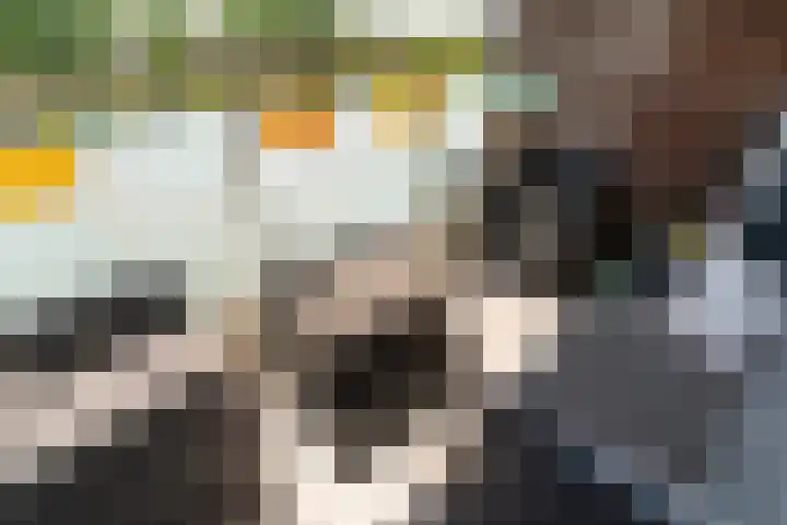Gravin Juliana van Stolberglaan 879 Leidschendam thumbnail 5