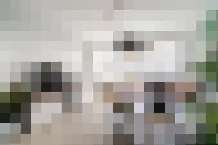 Gravin Juliana van Stolberglaan 913 Leidschendam thumbnail 10