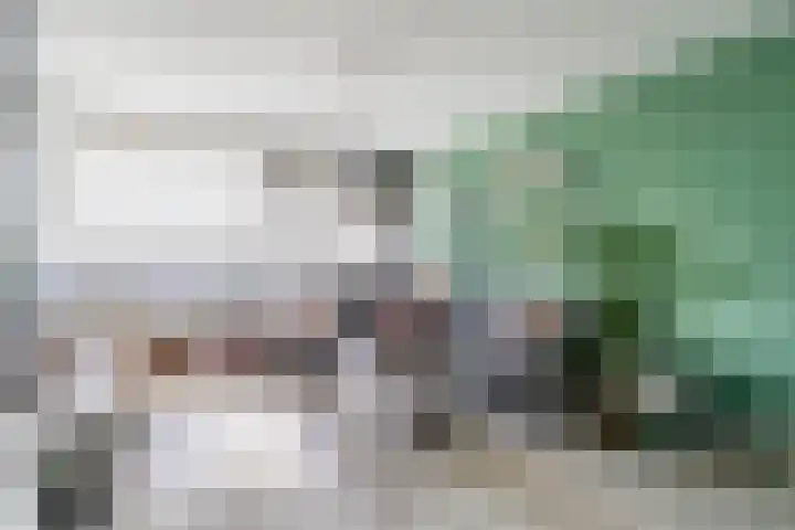 Gravin Juliana van Stolberglaan 913 Leidschendam thumbnail 9